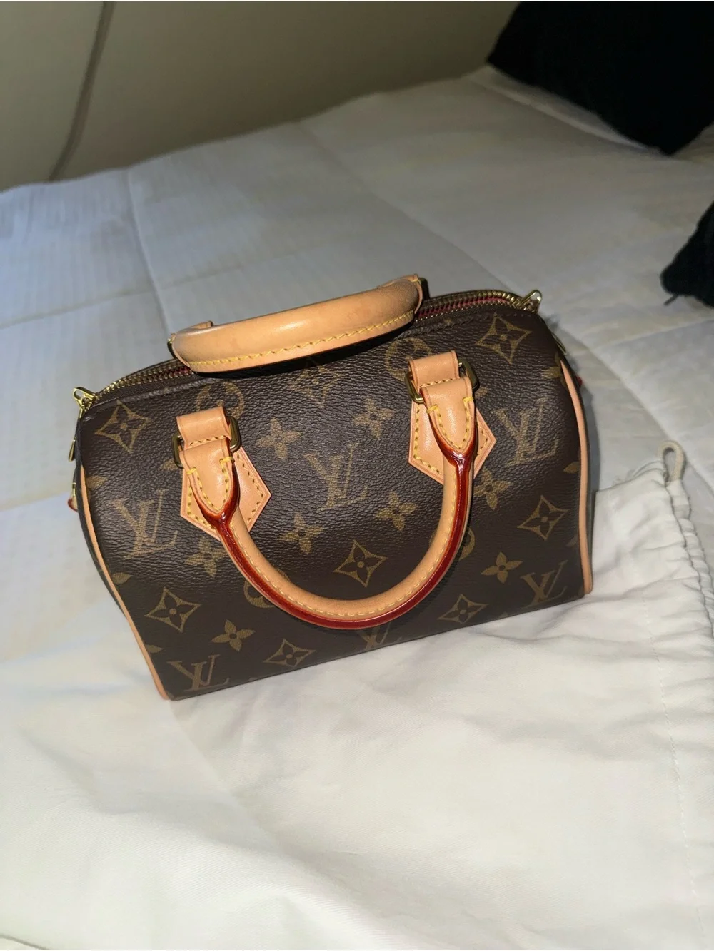 Louis Vuitton Speedy 20